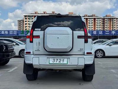Mengshi M817
