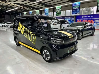 Wuling Zhiguang New Energy