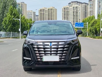 Denza D9