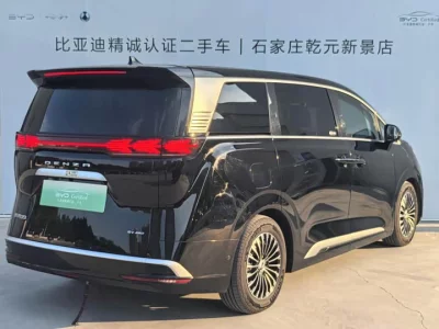 Denza D9