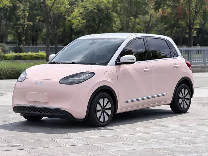 Wuling Bingo