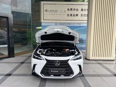 Lexus NX New Energy