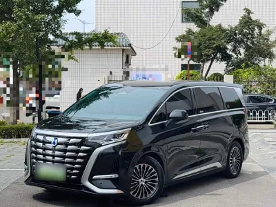Denza D9