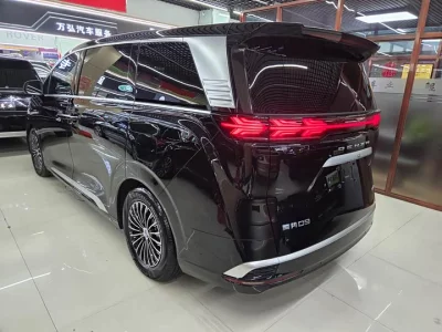 Denza D9