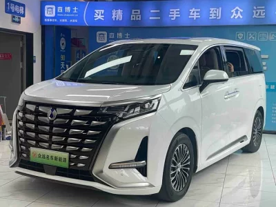 Denza D9