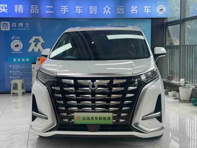 Denza D9