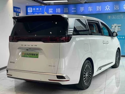 Denza D9