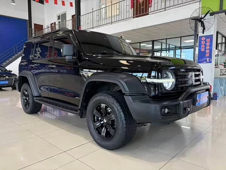 TANK 300
