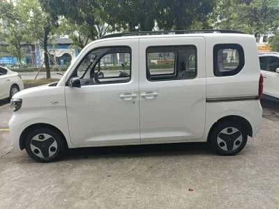 Wuling Zhiguang New Energy