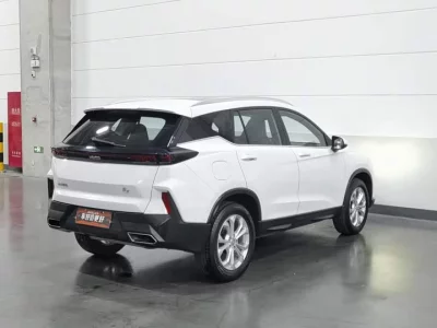 HAIMA 8S