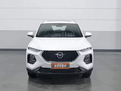 HAIMA 8S