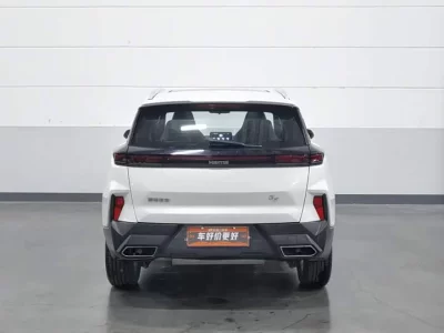 HAIMA 8S