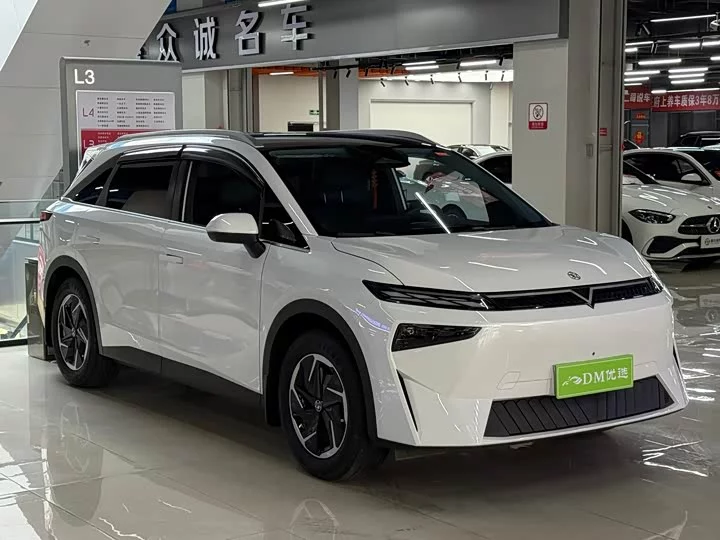 Venucia VX6