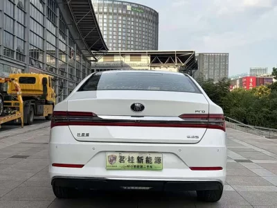 BYD Qin Pro New Energy