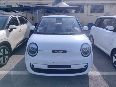 Changan Lumin