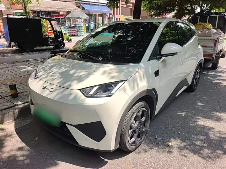 BYD Seagull