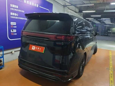 Denza D9