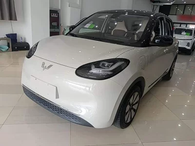 Wuling Bingo