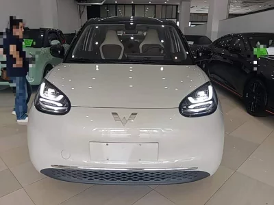 Wuling Bingo
