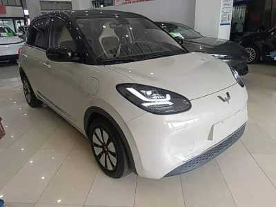 Wuling Bingo