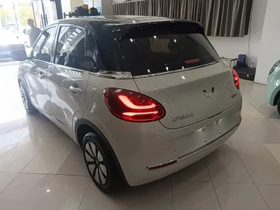Wuling Bingo