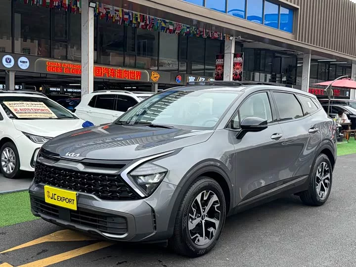Kia Lion Platinum Expands the Boundary