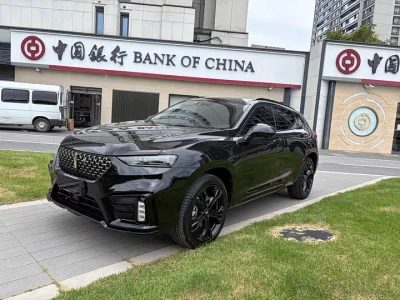 Wey VV7