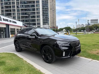 Wey VV7