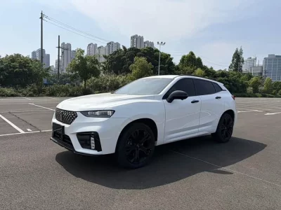 Wey VV7
