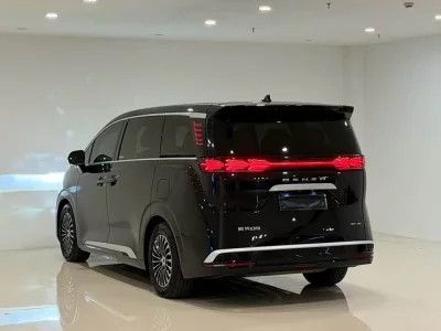 Denza D9