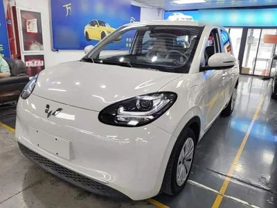 Wuling Bingo