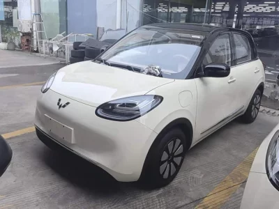 Wuling Bingo