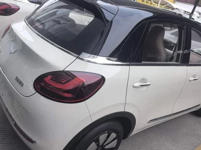 Wuling Bingo