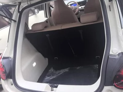 Wuling Bingo