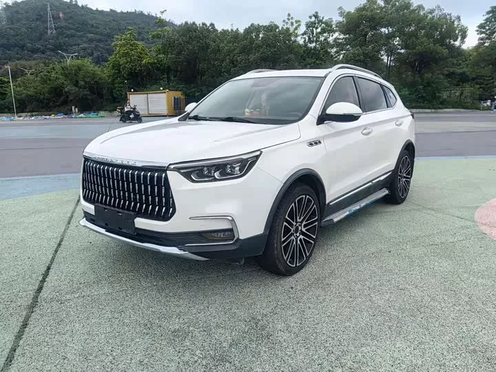 Leopaard Mattu