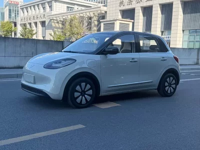Wuling Bingo