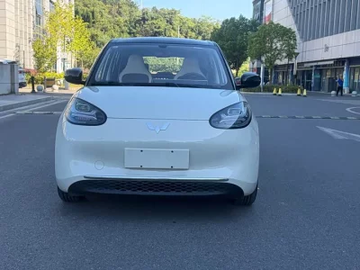 Wuling Bingo