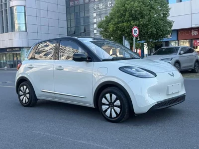 Wuling Bingo