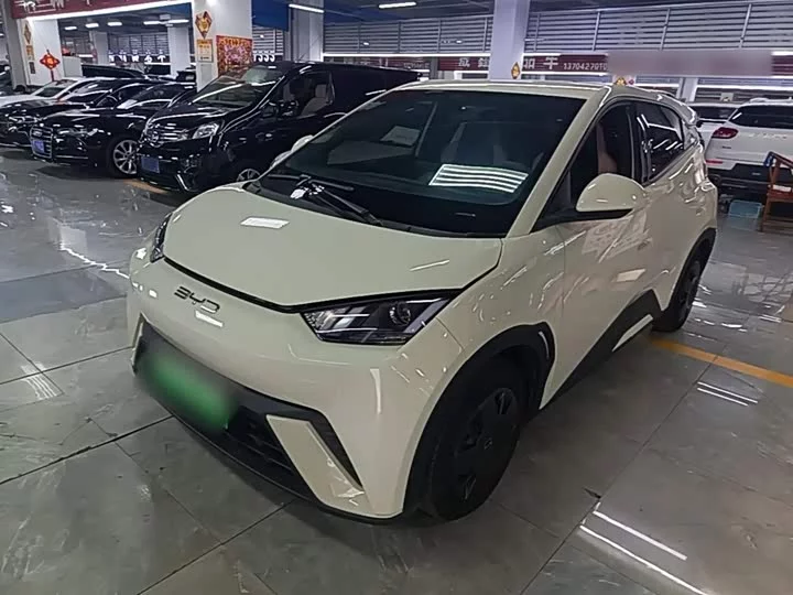 BYD Seagull
