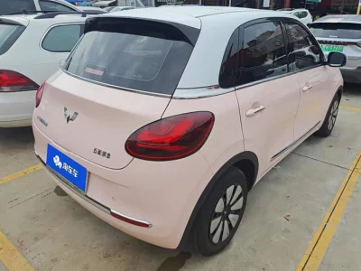Wuling Bingo