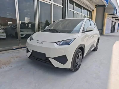 BYD Seagull