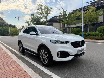 Wey VV6