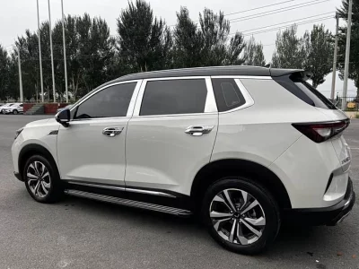 Wuling Star