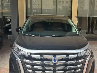 Denza D9
