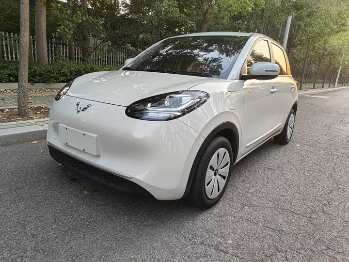 Wuling Bingo