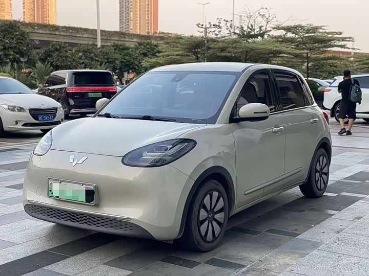 Wuling Bingo