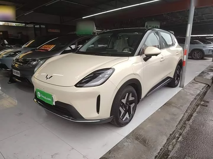 Wuling Bingo S