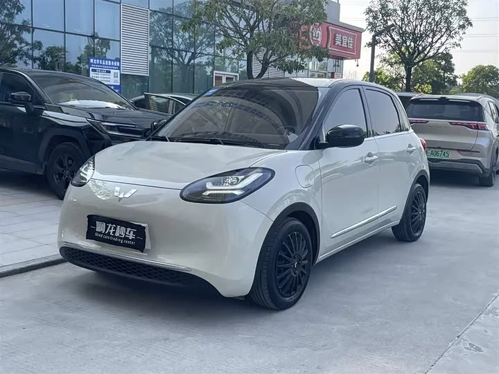 Wuling Bingo