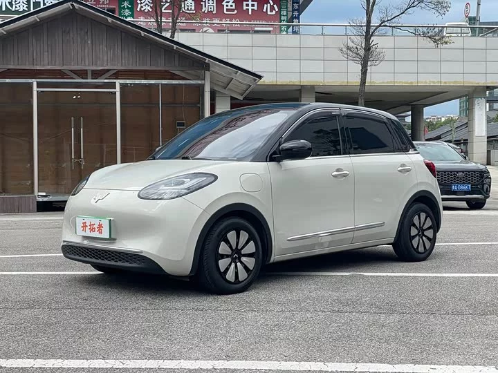 Wuling Bingo