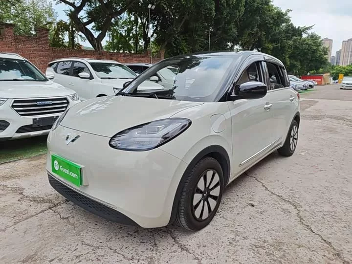 Wuling Bingo